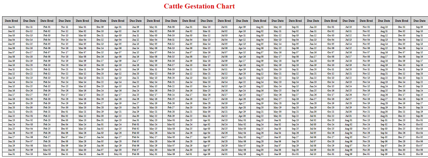 Printable Cattle Gestation Chart