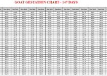 Goat Gestation Calculator & Chart