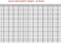 Goat Gestation Calculator & Chart