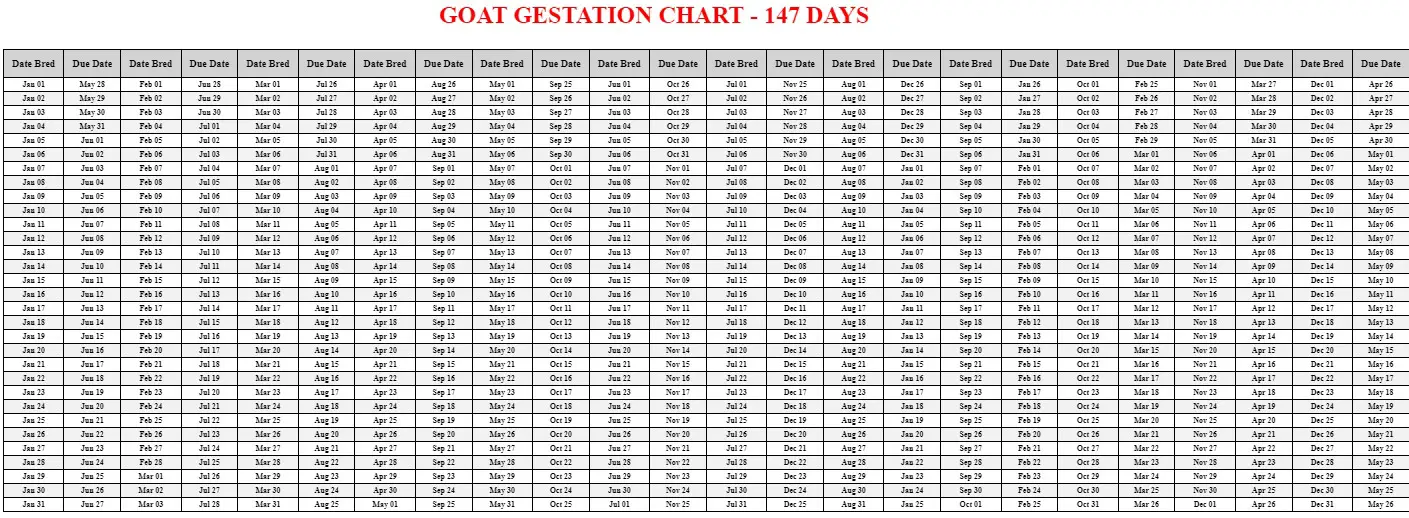 Goat Gestation Chart / Calendar