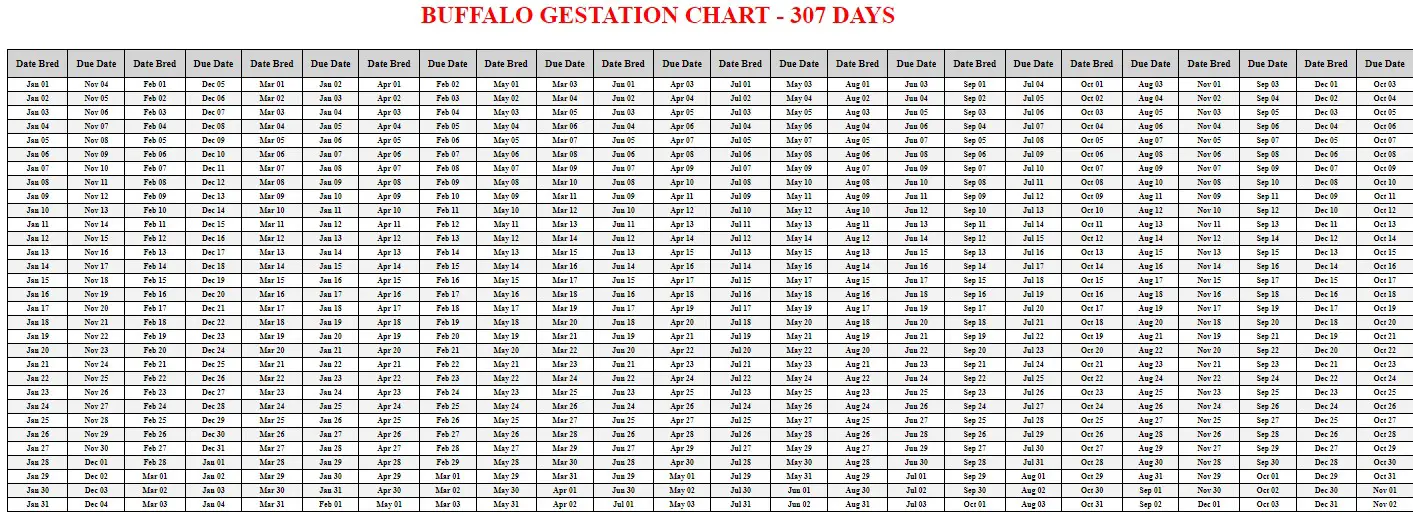 Printable Buffalo Gestation Chart
