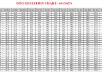 Dog Gestation Calculator & Chart