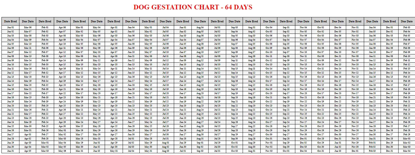 Printable Dog Gestation Chart