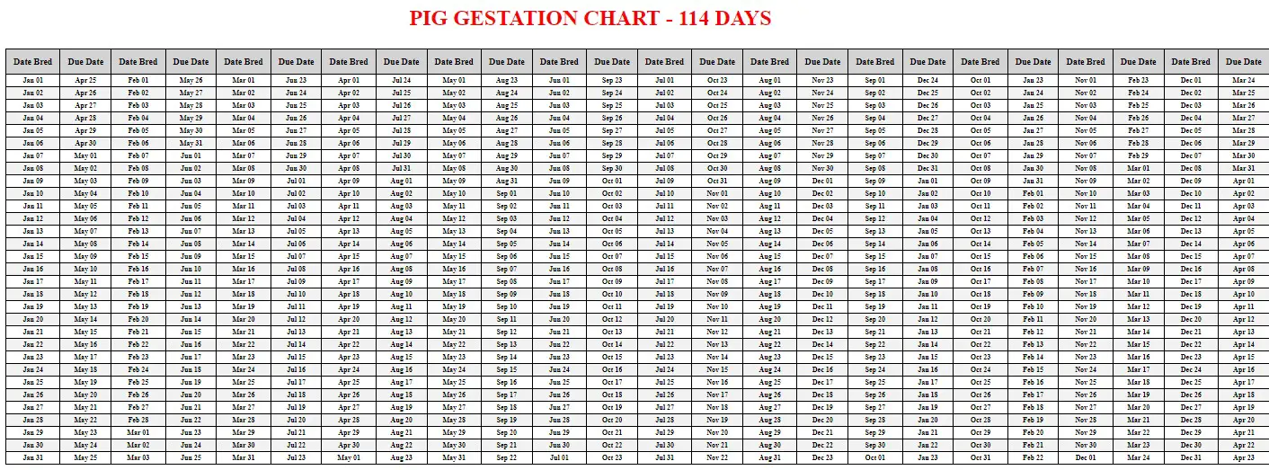 Printable Pig Gestation Chart