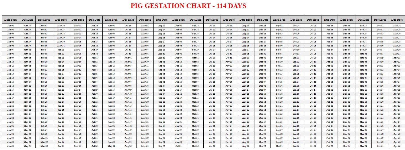 Printable Pig Gestation Chart