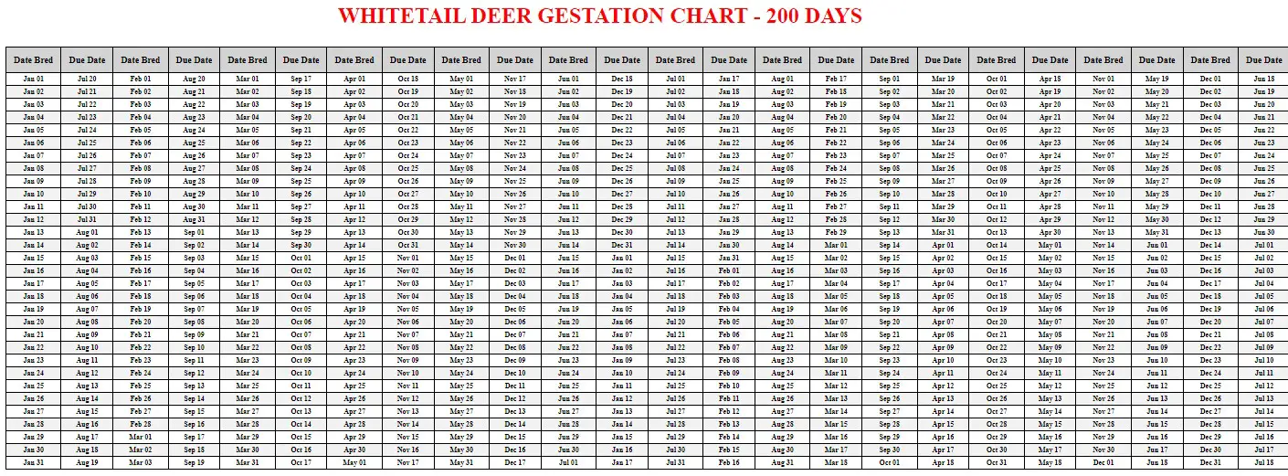 Printable Whitetail Deer Gestation Chart