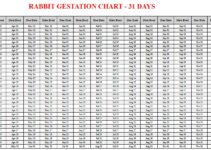 Rabbit Gestation Calculator & Chart