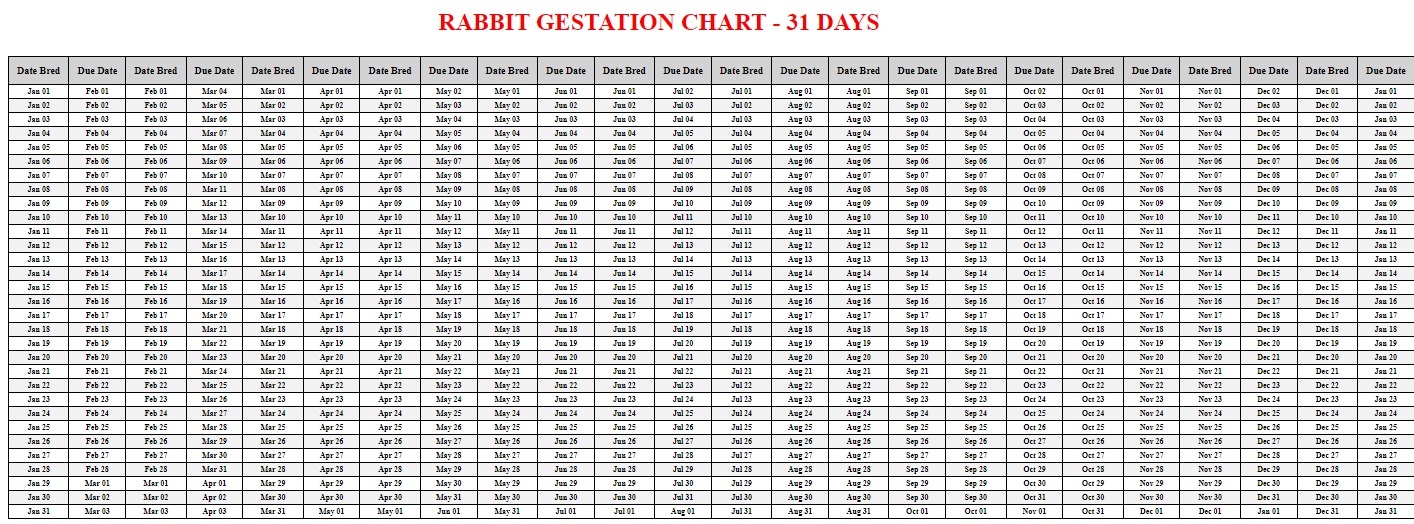 Printable Rabbit Gestation Chart