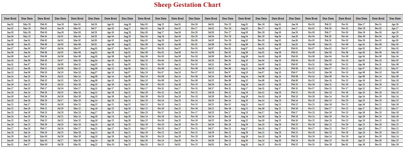 Printable Sheep Gestation Chart