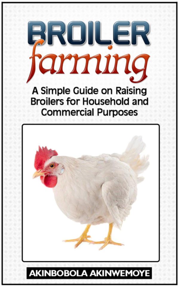 A Simple Guide on Raising Broilers for Household and Commercial Purposes