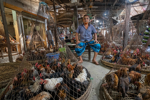 Chicken market