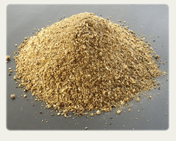 poultry growers mash feed