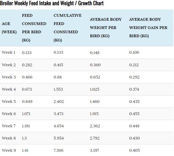 Age Wise Weight Chart For Adults