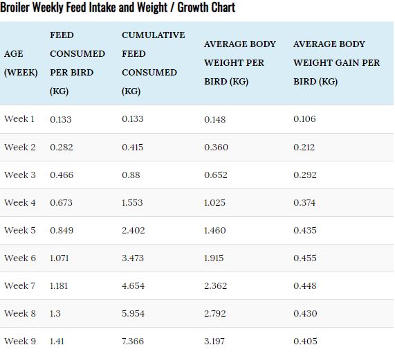 Weight Chart For Show Broilers