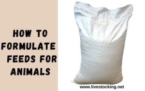 How to formulate livestock feeds