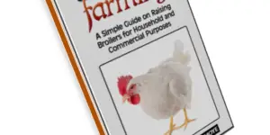 [Ebook] How to Start Broiler Farming Business Successfully