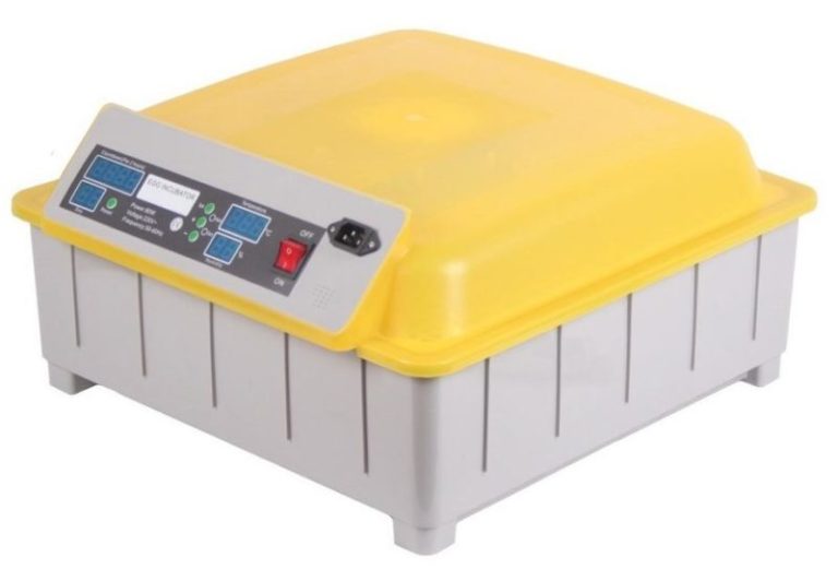 Where to Buy Cheap & Efficient Egg Incubators