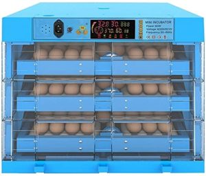 egg incubator