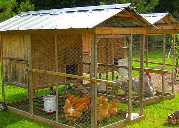 Chicken coop