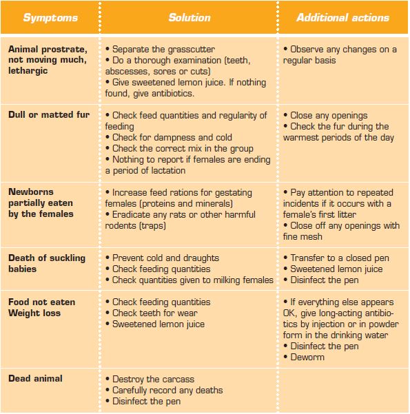 grasscutter farming business plan pdf