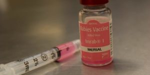 Disease Vaccines – Everything You Need to Know