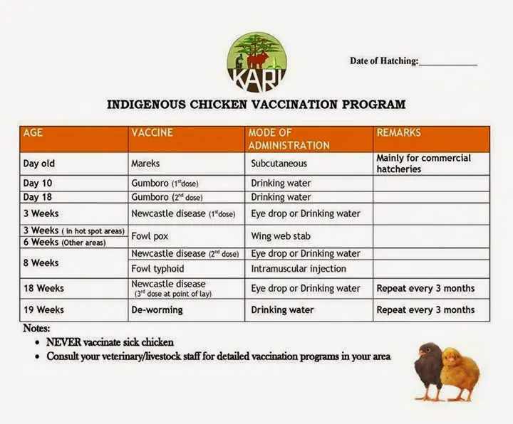 KARI Improved Kienyeji Chicken Vaccination Program