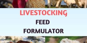 Livestocking Feed Formulation Software