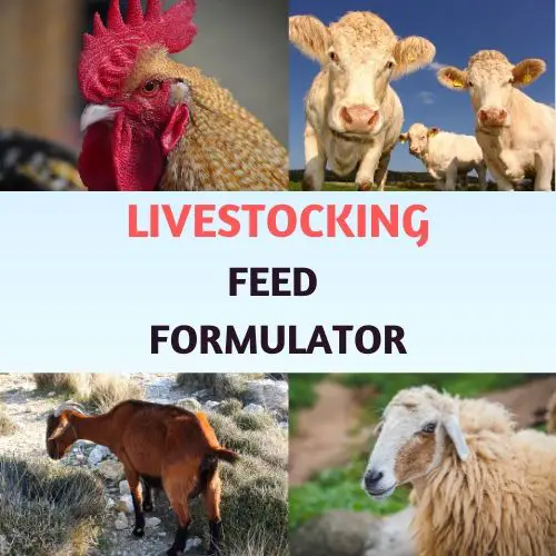 Livestocking Feed Formulation Software [Excel Based]
