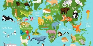 A-Z List of All the Animals in the World