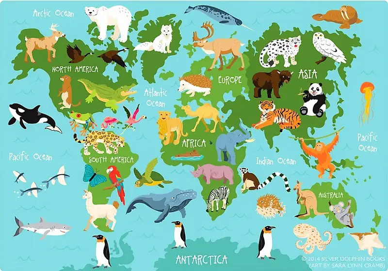 List of animals in the world