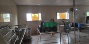 How to Establish a Chicken Processing Plant [Guide]