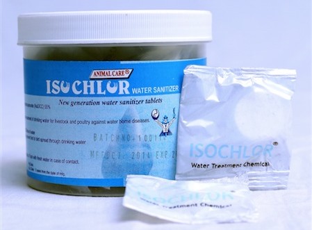 Isochlor