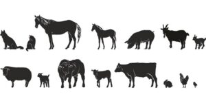 List of Sounds that Domestic Animals Make