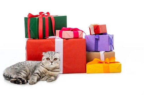 gift for pet lovers