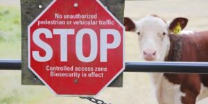 Why Biosecurity Planning Can Help Prevent Diseases on Farms