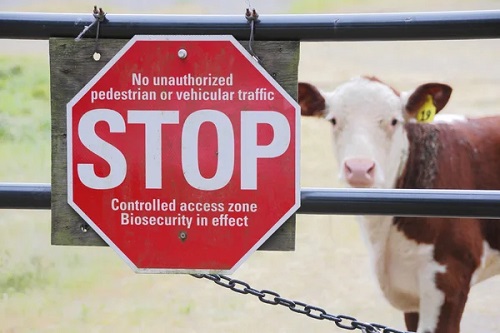 farm biosecurity