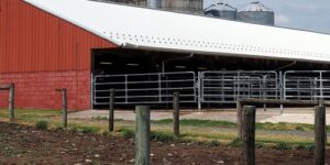 Pole Barn Maintenance: Keeping Your Livestock Safe and Healthy