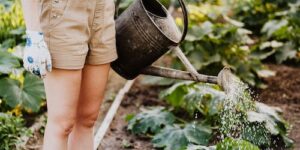 Farm-to-Table Learning: Integrating Agriculture Education in Columbus Daycares